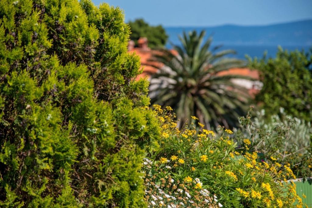Apartment In Bol With Seaview, Terrace, Air Condition, Wifi Kültér fotó